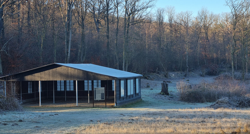 Baracke 13, dahinter die Grundfläche von Baracke 14.